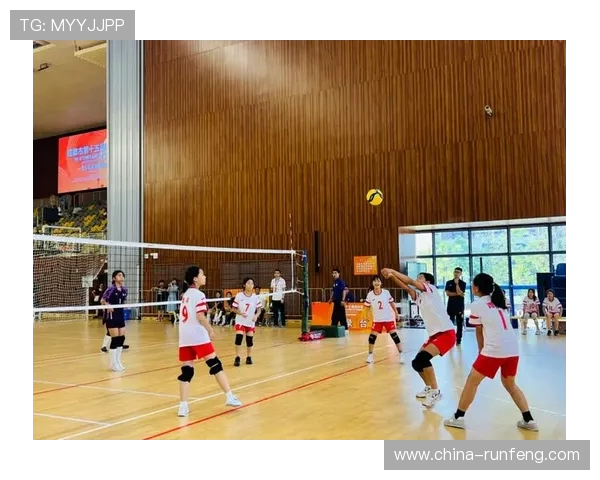 成都排球队的转换体系与排球战术创新探索之路
